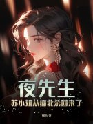 夜先生，苏小姐从缅北杀回来了全文免费阅读（苏清婉夜寻）小说完结版