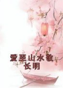 《爱至山水敬长明》魏海莹倪轩贺大结局小说全章节阅读