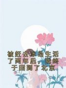 快手被赶去冰岛生活了两年后，我终于回到了北京小说全本章节大结局