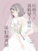 结婚当天我妈穿了婚纱，媳妇闹离婚by冯明远徐娇娇在线阅读