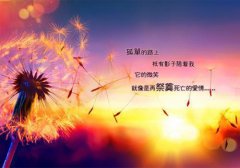 阎王么么哒（初七小夏）全文免费阅读无弹窗大结局_ （阎王么么哒）初七小夏