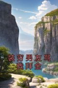 《装穷男友骂我拜金》完整版-陆念齐景年在线全文阅读