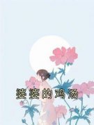 《婆婆的鸡汤》小说舒然许耀祖免费阅读