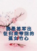 (热推新书)《我是将军出征归来带回的孤女竹心》江淮之沈竹心无弹窗阅读