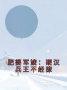 全网首发完整小说肥婆军嫂：硬汉兵王不经撩主角罗优优宋建军在线阅读