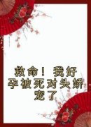 （全集-免费）救命！我好孕被死对头娇宠了完本小说_凤九赵淮之全文免费阅读