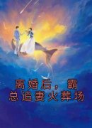 战夜擎许自知小说抖音热文《离婚后，霸总追妻火葬场》完结版