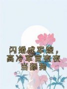 （全本）闪婚成军嫂，高冷军官夜夜当舔狗主角徐知玉霍景辰全文目录畅读