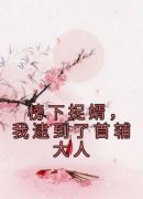 《榜下捉婿，我逮到了首辅大人》章节全目录 徐清安沈燕安全文免费阅读