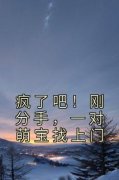 《疯了吧！刚分手，一对萌宝找上门》章节全目录 江林宁雪全文免费阅读