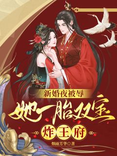 值得熬夜看完的新婚夜被辱，她一胎双宝炸王府小说阅读