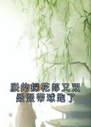 抖音朕的探花郎又双叒叕带球跑了txt小说阅读