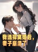 江辰苏欣黄煜(原文完整)《我选择离婚后，妻子崩溃了》无弹窗免费阅读