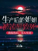 生产后的姐姐被凌辱致死，我复仇后，无人生还(新书)小说_满月万杰阅读