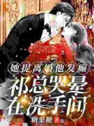 《她提离婚他发癫，祁总哭晕在洗手间》章节全目录 阮山柳祁夜南全文免费阅