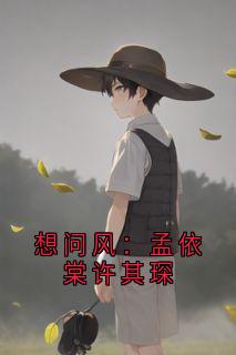 作者许其琛写的想问风：孟依棠许其琛小说大结局全章节阅读