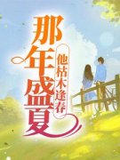 爆款小说那年盛夏，他枯木逢春-主角夏至盛野在线阅读