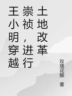 王小明崇祯帝《王小明穿越崇祯，进行土地改革》完结版小说全文免费阅读