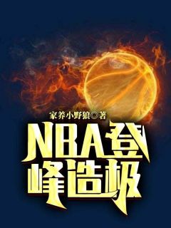 老书虫力荐《NBA登峰造极》免费无弹窗阅读