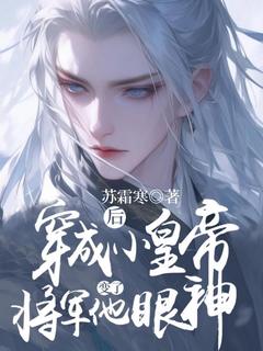 《穿成小皇帝后，将军他眼神变了》书洛屿封景淮by苏霜寒免费看