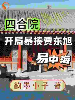 《四合院：开局暴揍易中海贾东旭》完整版-周开阳周开月在线全文阅读