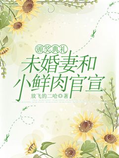 《颁奖典礼，未婚妻和小鲜肉官宣》完整版-梁戬沈如烟在线全文阅读