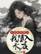 《夫君枉死那天，我堕入永夜》小说免费阅读 安娘柳如释大结局完整版