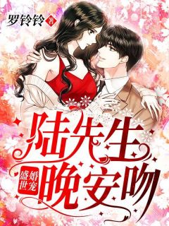 《盛世婚宠：陆先生，晚安吻！》by罗铃铃免费阅读小说大结局