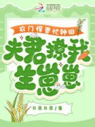 农门悍妻忙种田，夫君撩我生崽崽[抖音]小说-洛云禾苏景宣无删减阅读